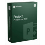 Project 2021 Professional Lifetime 1 PC