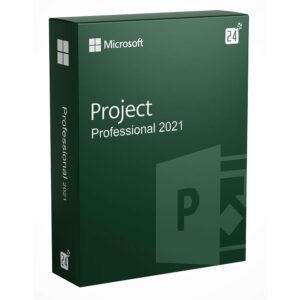 Project 2021 Professional Lifetime 1 PC