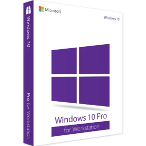 Windows 10 Professional Workstation 1 PC